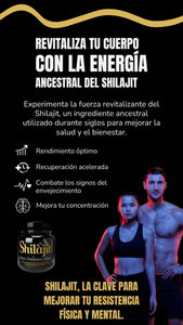 SHILAJIT ORIGINAL