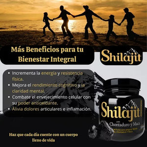 SHILAJIT ORIGINAL