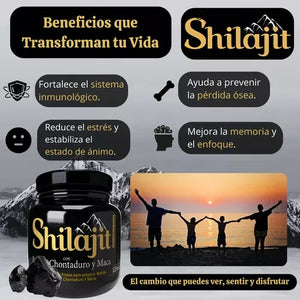 SHILAJIT ORIGINAL