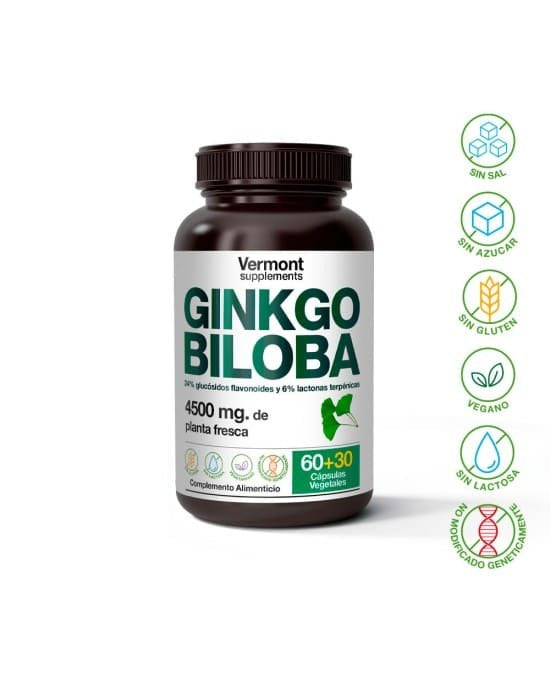 Ginkgo Biloba