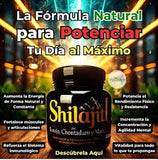 SHILAJIT ORIGINAL